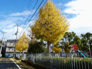 池尻児童公園（京都市西京区桂池尻町）