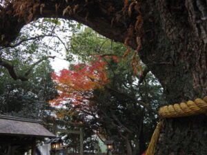 箕曲中松原神社（伊勢市岩渕）