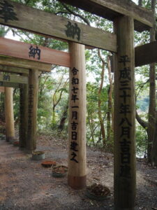 来年の鳥居でタイムリープ（茜社）