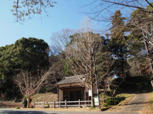 田丸城跡の富士見門（玉城町田丸）