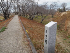 駿河堤（中島）