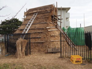 茅の葺き替え工事中の竪穴住居（隠岡遺跡）