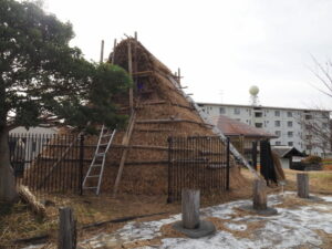 茅の葺き替え工事中の竪穴住居（隠岡遺跡）