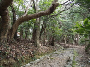 神前神社の参道