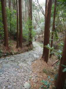 神前神社の参道