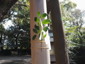 御食神社（神社港）