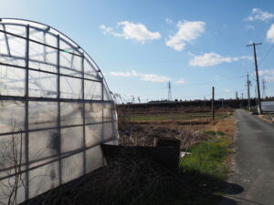 伊勢市御薗町長屋にて