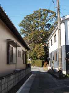 宇須乃野神社(豊受大神宮 摂社)