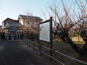 臥龍梅公園(御薗町新開)