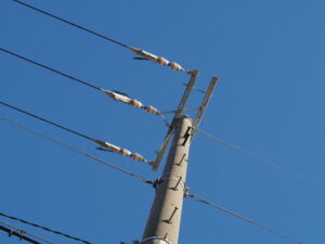 見上げてしまう電柱の個性