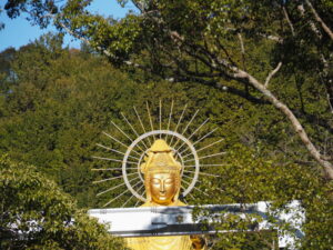 大観音寺（津市白山町）