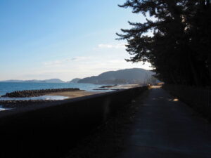 重浪帰する二見浦海岸