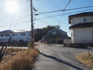 神田社の社叢遠望