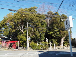 勝廣稲荷大明神および橘神社の社叢