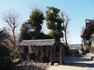 大林寺のお稲荷さんほか（古市町）