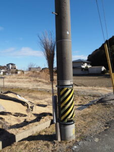 二見町三津にて