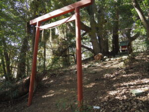 伏見稲荷社、太江寺境内(二見町江)