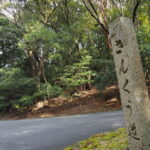 朝熊宇治岳道の入口に立つ道標（宇治館町）