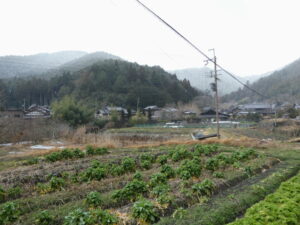 大原女の小径から眺める大原の風景