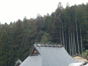 大原女の小径から眺める大原の風景