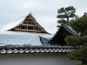 桂春院から戻る途中にて（妙心寺）