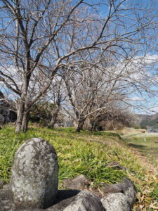 多気町丹生にて