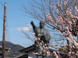 ふるさと屋の敷地に立つ木製電柱（多気町丹生）