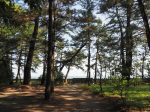 今日も閉ざされている二見浦海岸側の出入口（御塩殿神社）