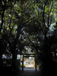 道路に面した参道鳥居（御塩殿神社）