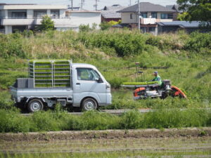 田植え風景（伊勢市磯町）