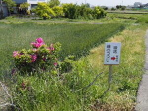 磯町にて
