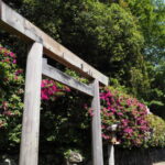 磯神社の鳥居付近