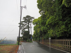 2025年05月10日時点の社叢（御塩殿神社）