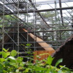 ついに新しい姿を現した御塩焼所（御塩殿神社）
