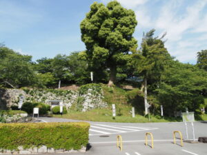 田丸城跡（玉城町役場付近）