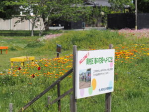 岡村区の花畑（玉城町岡村）