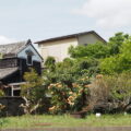 玉城町岡村にて