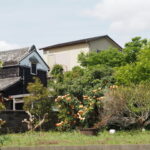 玉城町岡村にて