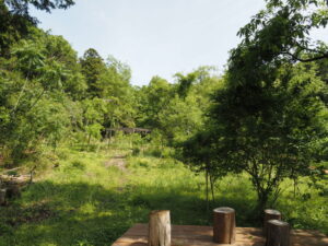 里山ビオトープ（玉城町坂本）