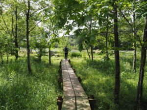 里山ビオトープ（玉城町坂本）