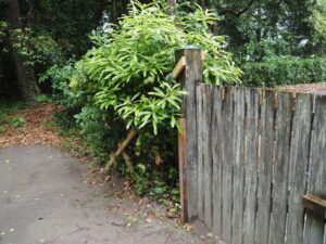 補強されていた御塩焼所への扉支柱（御塩殿神社）