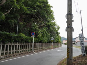 垂直にスッキリとした社叢（御塩殿神社）