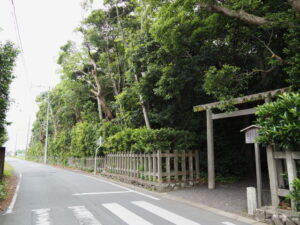 垂直にスッキリとした社叢（御塩殿神社）