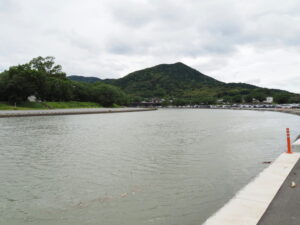 左岸から望む満水の五十鈴川と鼓ケ岳