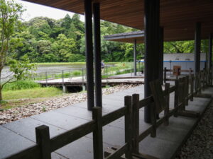 勾玉池菖蒲園（外宮）
