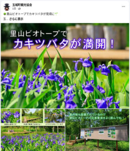 玉城町観光協会のFacebook投稿（里山ビオトープでカキツバタが満開！）