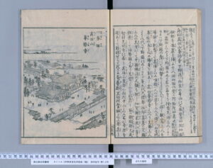 一身田高田山専修寺（伊勢参宮名所図会）