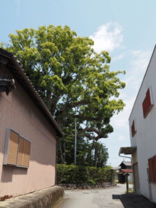宇須乃野神社（豊受大神宮 摂社）