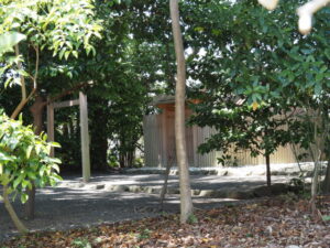 社叢が垂直にスッキリした宇須乃野神社