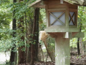 風日祈宮橋付近